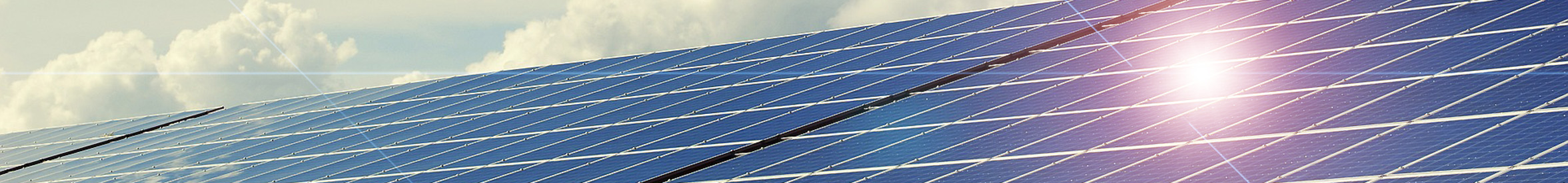 Wartung und Reinigung