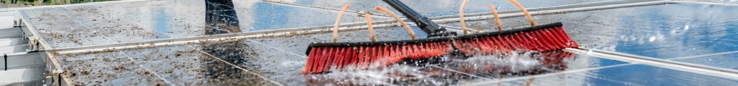 Wartung und Reinigung